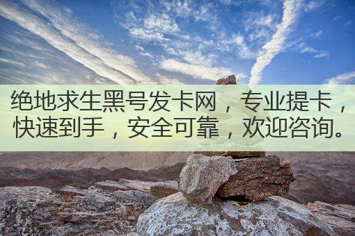 绝地求生黑号发卡网，专业提卡，快速到手，安全可靠，欢迎咨询。