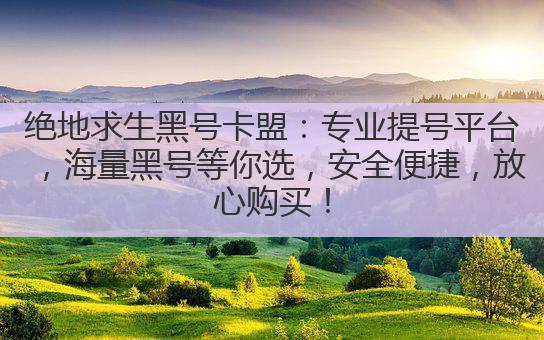 绝地求生黑号卡盟：专业提号平台，海量黑号等你选，安全便捷，放心购买！