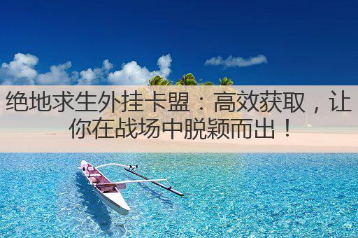 绝地求生外挂卡盟:高效获取,让你在战场中脱颖而出!