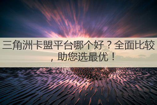 三角洲卡盟平台哪个好?全面比较,助您选最优!
