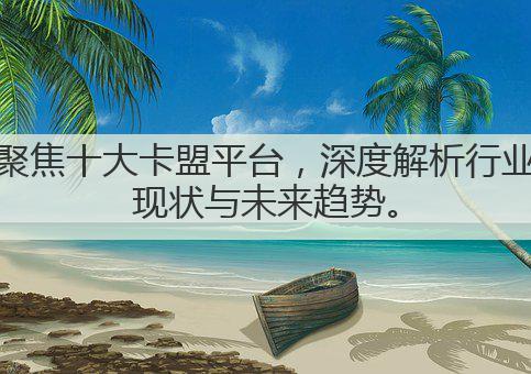 聚焦十大卡盟平台，深度解析行业现状与未来趋势。