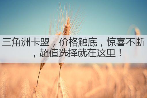 三角洲卡盟，价格触底，惊喜不断，超值选择就在这里！