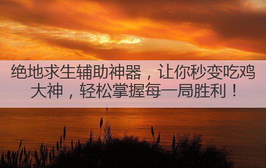 绝地求生辅助神器,让你秒变吃鸡大神,轻松掌握每一局胜利!