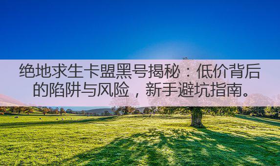 绝地求生卡盟黑号揭秘:低价背后的陷阱与风险,新手避坑指南。