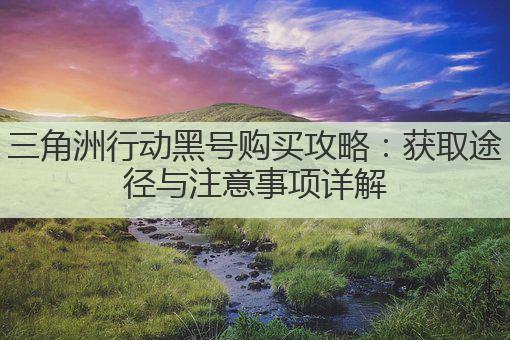 三角洲行动黑号购买攻略：获取途径与注意事项详解