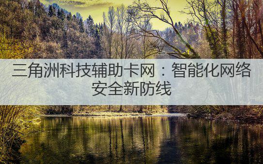 三角洲科技辅助卡网：智能化网络安全新防线