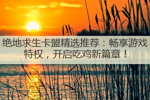绝地求生卡盟精选推荐：畅享游戏特权，开启吃鸡新篇章！