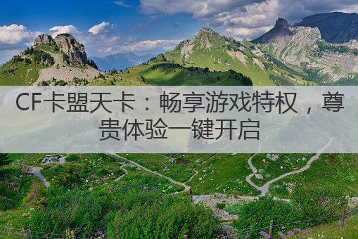 CF卡盟天卡：畅享游戏特权，尊贵体验一键开启