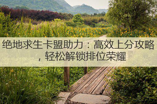 绝地求生卡盟助力:高效上分攻略,轻松解锁排位荣耀