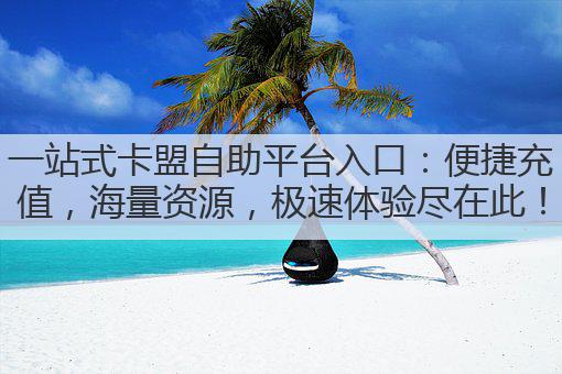 一站式卡盟自助平台入口:便捷充值,海量资源,极速体验尽在此!