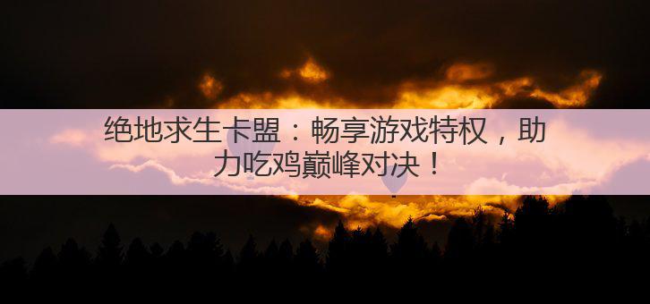 绝地求生卡盟:畅享游戏特权,助力吃鸡巅峰对决!