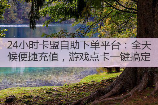 24小时卡盟自助下单平台:全天候便捷充值,游戏点卡一键搞定