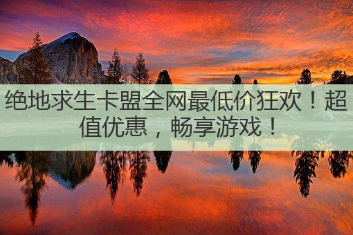 绝地求生卡盟全网最低价狂欢!超值优惠,畅享游戏!