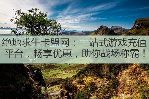 绝地求生卡盟网:一站式游戏充值平台,畅享优惠,助你战场称霸!