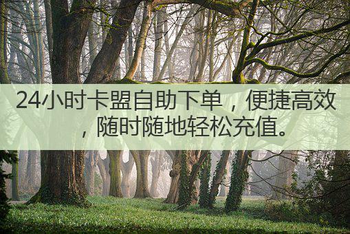 24小时卡盟自助下单，便捷高效，随时随地轻松充值。