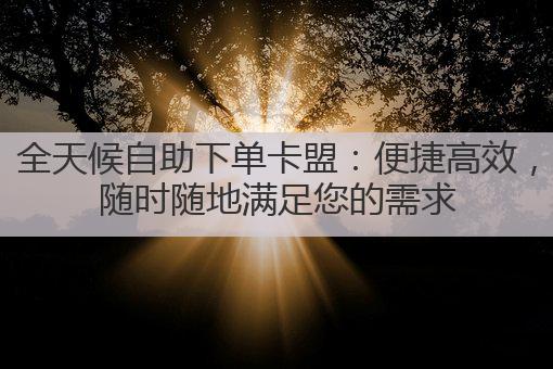 全天候自助下单卡盟:便捷高效,随时随地满足您的需求