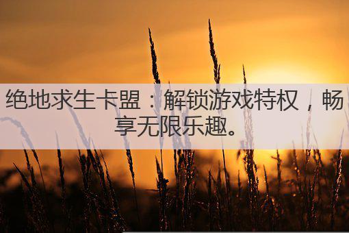 绝地求生卡盟：解锁游戏特权，畅享无限乐趣。