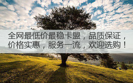 全网最低价最稳卡盟，品质保证，价格实惠，服务一流，欢迎选购！
