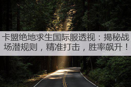 卡盟绝地求生国际服透视：揭秘战场潜规则，精准打击，胜率飙升！