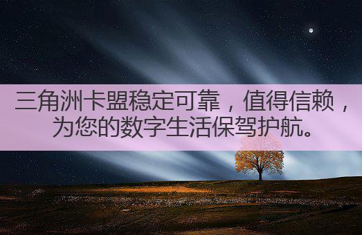 三角洲卡盟稳定可靠，值得信赖，为您的数字生活保驾护航。