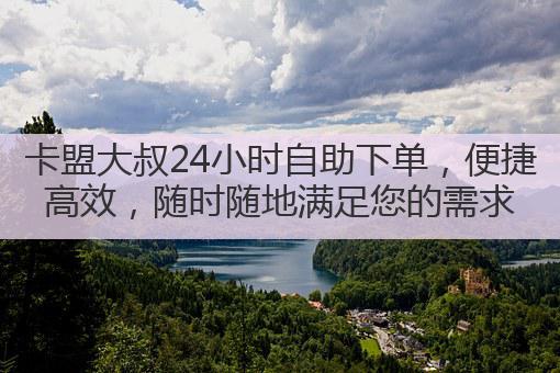 卡盟大叔24小时自助下单,便捷高效,随时随地满足您的需求
