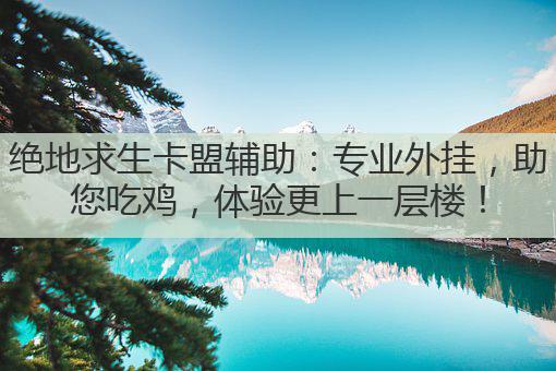 绝地求生卡盟辅助：专业外挂，助您吃鸡，体验更上一层楼！