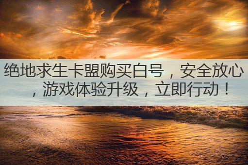 绝地求生卡盟购买白号,安全放心,游戏体验升级,立即行动!