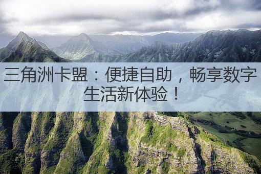 三角洲卡盟：便捷自助，畅享数字生活新体验！