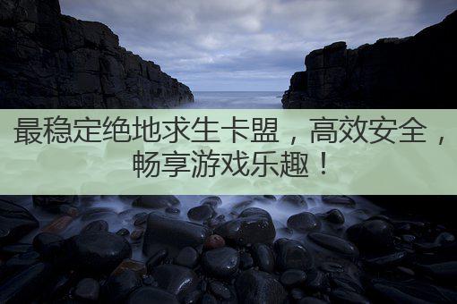 最稳定绝地求生卡盟,高效安全,畅享游戏乐趣!