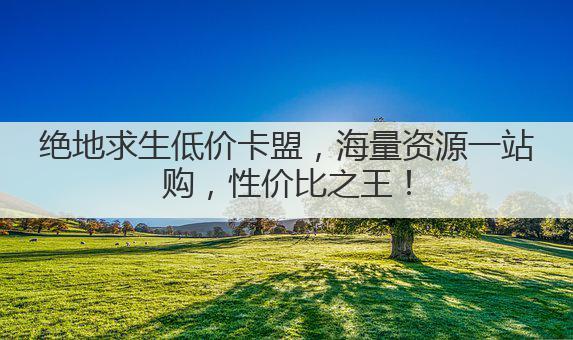 绝地求生低价卡盟，海量资源一站购，性价比之王！