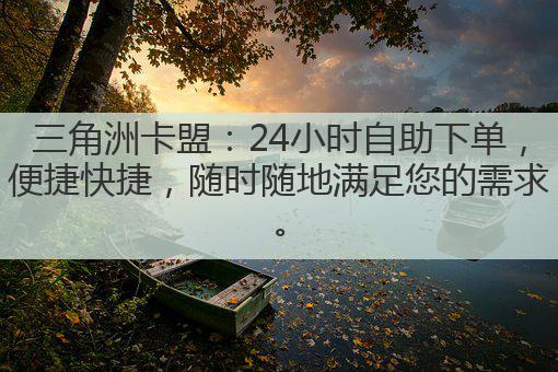 三角洲卡盟：24小时自助下单，便捷快捷，随时随地满足您的需求。