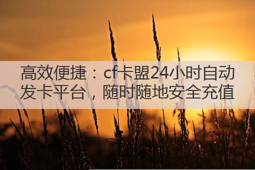 高效便捷:cf卡盟24小时自动发卡平台,随时随地安全充值