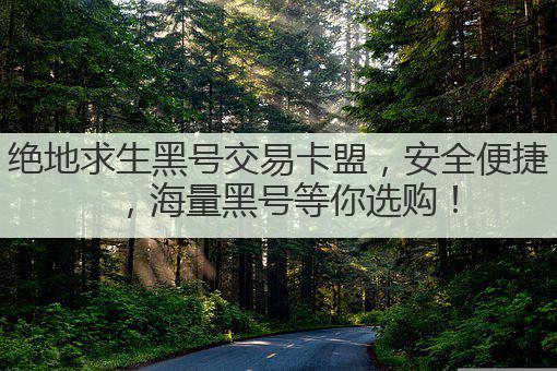 绝地求生黑号交易卡盟,安全便捷,海量黑号等你选购!