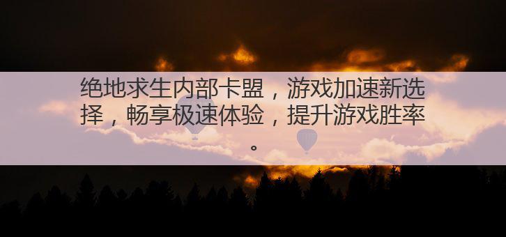 绝地求生内部卡盟,游戏加速新选择,畅享极速体验,提升游戏胜率。