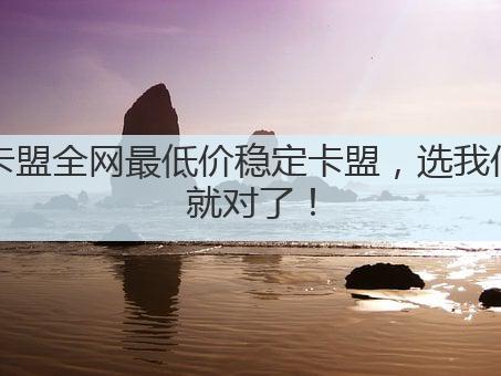 卡盟全网最低价稳定卡盟，选我们就对了！
