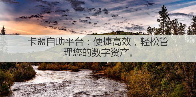 卡盟自助平台:便捷高效,轻松管理您的数字资产。