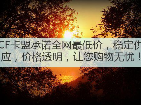 CF卡盟承诺全网最低价,稳定供应,价格透明,让您购物无忧!