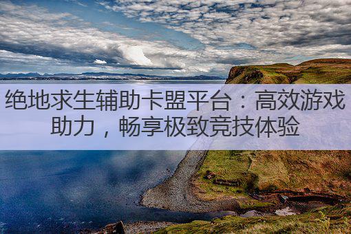 绝地求生辅助卡盟平台：高效游戏助力，畅享极致竞技体验