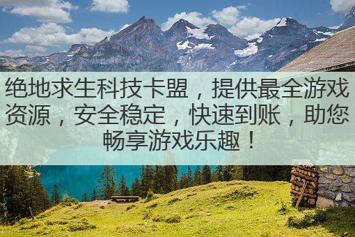 绝地求生科技卡盟，提供最全游戏资源，安全稳定，快速到账，助您畅享游戏乐趣！