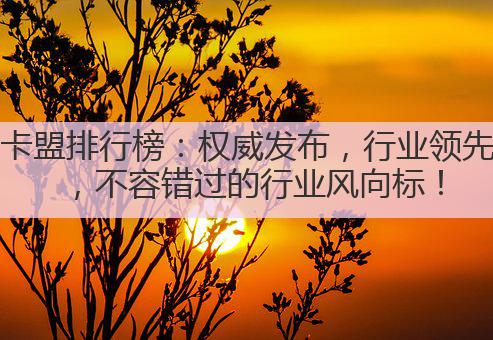 卡盟排行榜：权威发布，行业领先，不容错过的行业风向标！