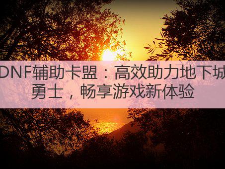 DNF辅助卡盟:高效助力地下城勇士,畅享游戏新体验