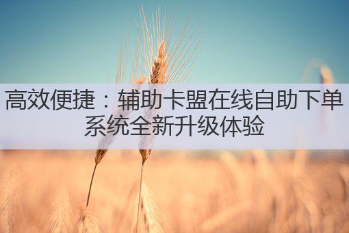 高效便捷:辅助卡盟在线自助下单系统全新升级体验