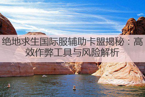 绝地求生国际服辅助卡盟揭秘：高效作弊工具与风险解析