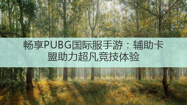 畅享PUBG国际服手游：辅助卡盟助力超凡竞技体验