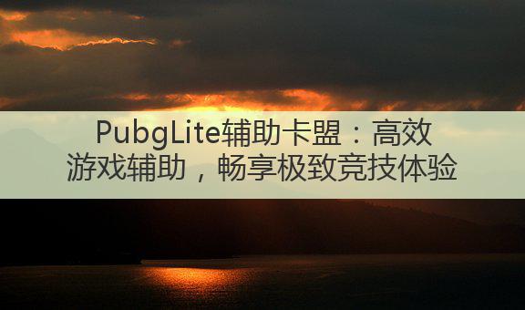 PubgLite辅助卡盟：高效游戏辅助，畅享极致竞技体验