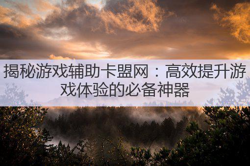 揭秘游戏辅助卡盟网：高效提升游戏体验的必备神器
