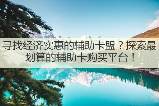 寻找经济实惠的辅助卡盟？探索最划算的辅助卡购买平台！