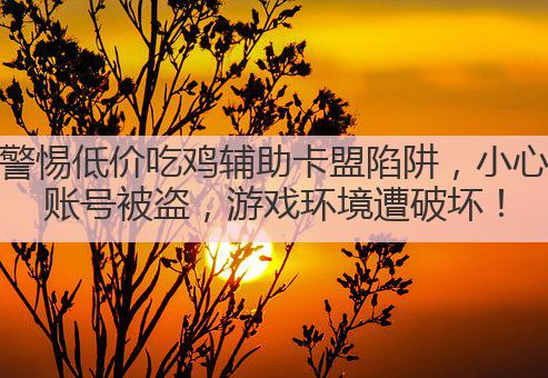 警惕低价吃鸡辅助卡盟陷阱,小心账号被盗,游戏环境遭破坏!