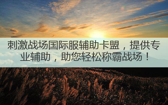 刺激战场国际服辅助卡盟,提供专业辅助,助您轻松称霸战场!