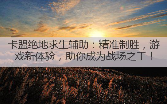 卡盟绝地求生辅助：精准制胜，游戏新体验，助你成为战场之王！